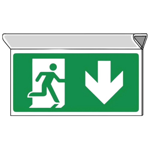 X-Sense (4).png